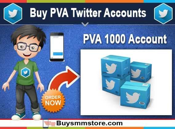 Buy Twitter PVA Accounts